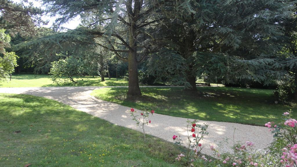 Chateau De La Frogerie Maulévrier Esterno foto