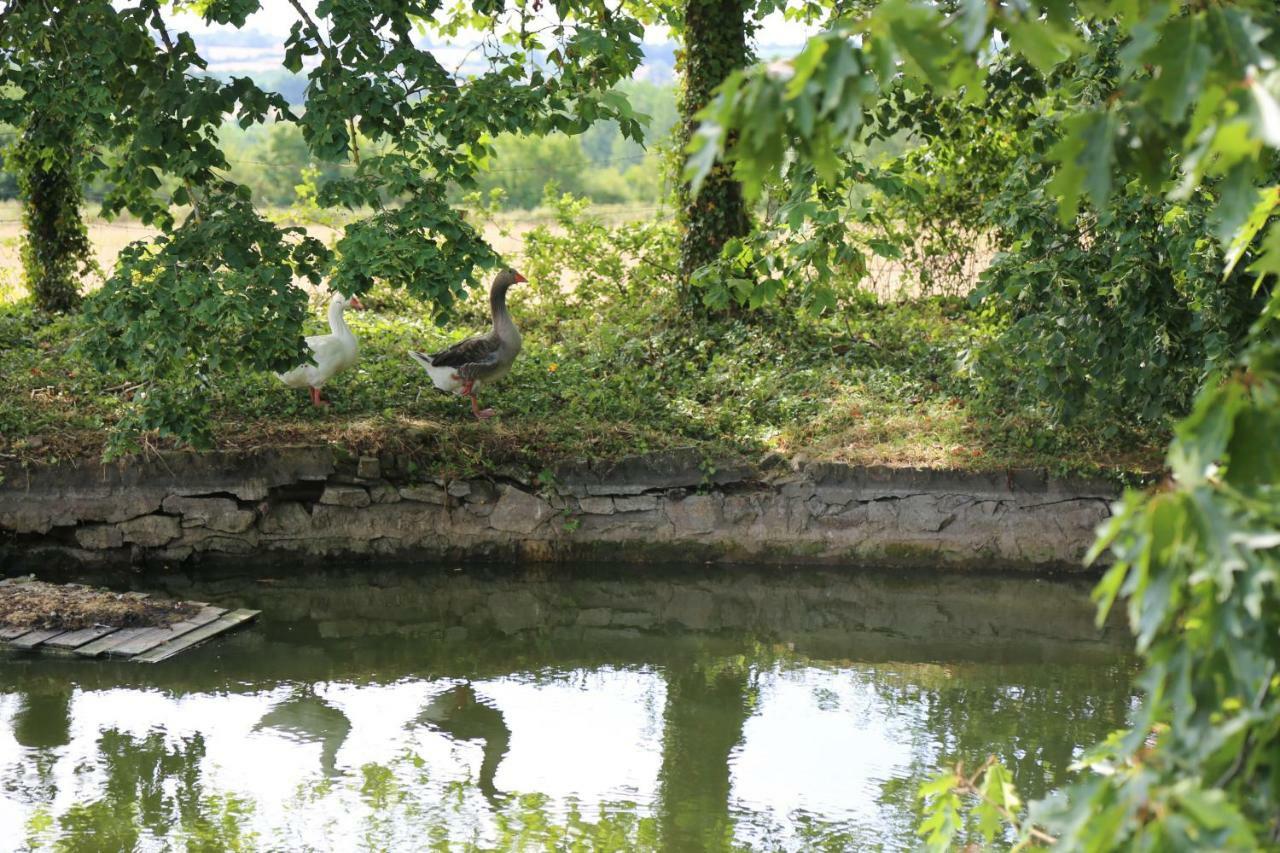 Chateau De La Frogerie Maulévrier Esterno foto